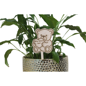 Beszúrható tábla, maci