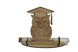 Gravírozott fa bagoly diplomaosztó kalapban kémcsővel pénzajándékhoz